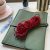 Olive Leather Folio - Red